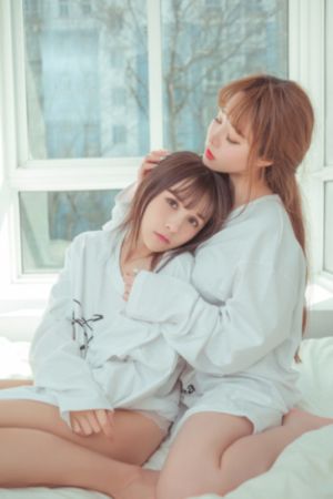 代号d机关