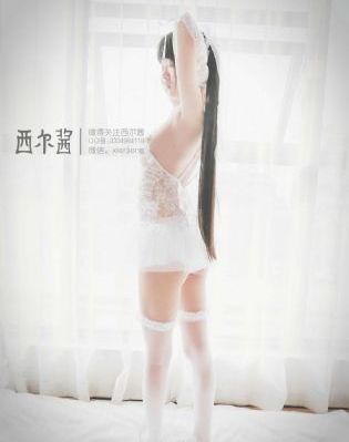 绝命毒师第五季