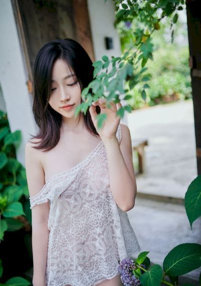 一片树叶的故事