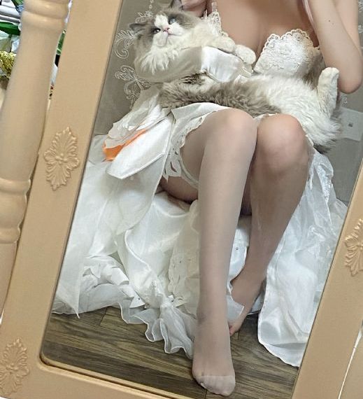 枫与铃在线免费看