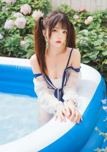 一枝梅