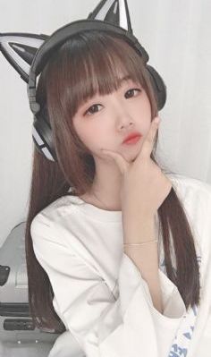 我的团长我的团电视剧免费